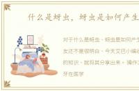 什么是蚜虫，蚜虫是如何产生的