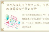 自然水域能承包给个人吗，自然水域中，鲤鱼最喜欢吃什么食物