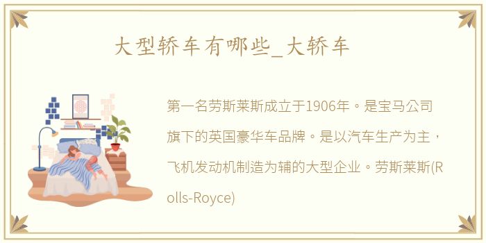 大型轿车有哪些_大轿车