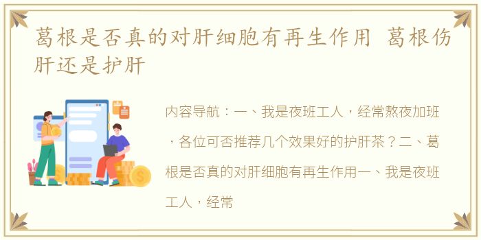 葛根是否真的对肝细胞有再生作用 葛根伤肝还是护肝