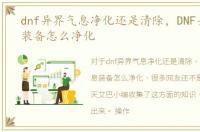 dnf异界气息净化还是清除，DNF异界气息装备怎么净化