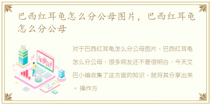 巴西红耳龟怎么分公母图片，巴西红耳龟怎么分公母