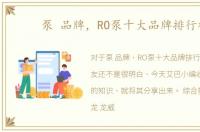 泵 品牌，RO泵十大品牌排行榜