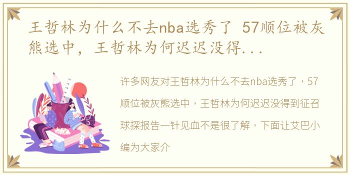 王哲林为什么不去nba选秀了 57顺位被灰熊选中，王哲林为何迟迟没得到征召球探报告一针见血