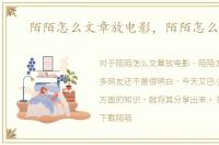 陌陌怎么文章放电影，陌陌怎么文章