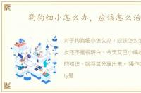 狗狗细小怎么办，应该怎么治疗