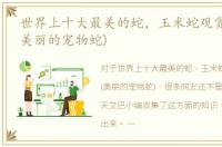 世界上十大最美的蛇，玉米蛇观赏性很强(美丽的宠物蛇)