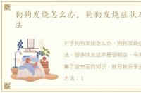 狗狗发烧怎么办，狗狗发烧症状及处理方法