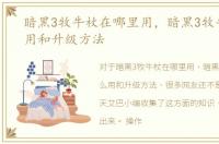 暗黑3牧牛杖在哪里用，暗黑3牧牛杖怎么用和升级方法