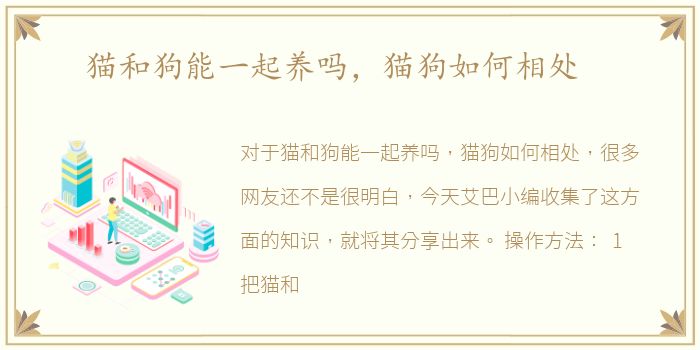 猫和狗能一起养吗，猫狗如何相处