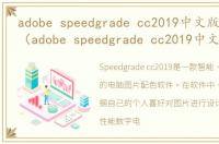 adobe speedgrade cc2019中文版软件介绍（adobe speedgrade cc2019中文版）
