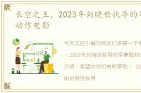 长空之王，2023年刘晓世执导的军事题材动作电影