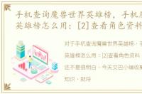 手机查询魔兽世界英雄榜，手机魔兽世界英雄榜怎么用：[2]查看角色资料