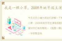 我是一棵小草，2009年姚芊羽主演电视剧