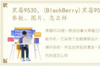 黑莓9530，(BlackBerry)黑莓9530报价、参数、图片、怎么样