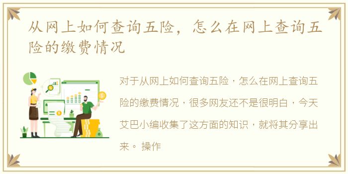 从网上如何查询五险，怎么在网上查询五险的缴费情况