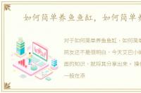 如何简单养鱼鱼缸，如何简单养鱼