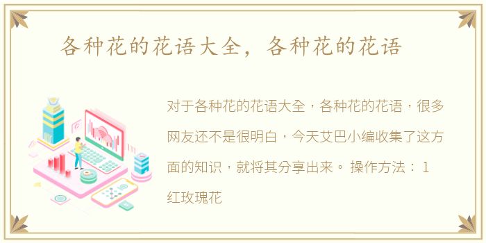 各种花的花语大全，各种花的花语