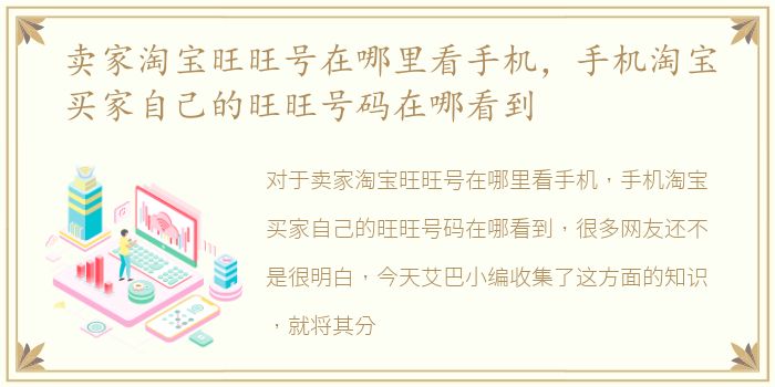 卖家淘宝旺旺号在哪里看手机，手机淘宝买家自己的旺旺号码在哪看到