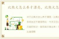 比熊犬怎么养才漂亮，比熊犬怎么养
