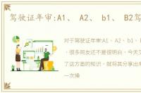 驾驶证年审:A1、 A2、 b1、 B2驾驶证在