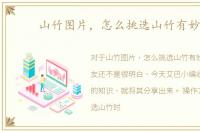 山竹图片，怎么挑选山竹有妙招