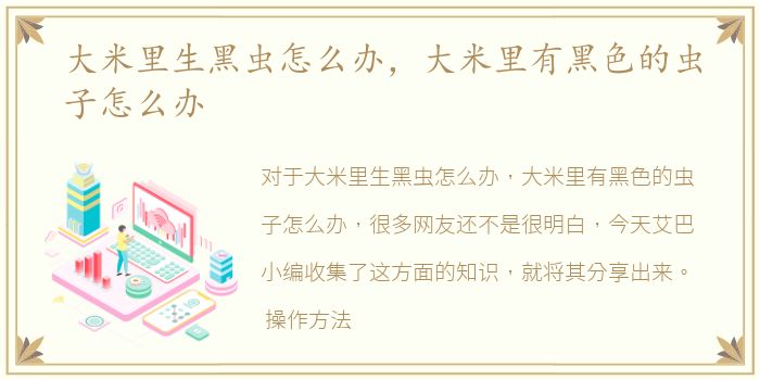 大米里生黑虫怎么办，大米里有黑色的虫子怎么办