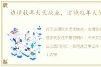 边境牧羊犬优缺点，边境牧羊犬的种类