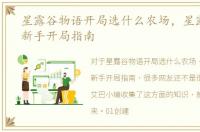 星露谷物语开局选什么农场，星露谷物语新手开局指南