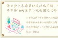 保卫萝卜冬季第16关攻略图解，保卫萝卜冬季第16关金萝卜完美图文攻略