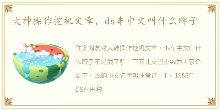 大神操作挖机文章，ds车中文叫什么牌子