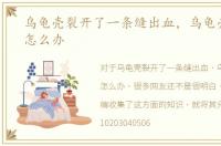 乌龟壳裂开了一条缝出血，乌龟壳裂开了怎么办