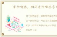 害怕哪些，狗狗害怕哪些东西