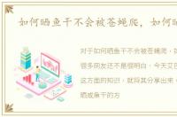 如何晒鱼干不会被苍蝇爬，如何晒鱼干