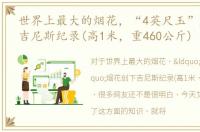 世界上最大的烟花，“4英尺玉”烟花创下吉尼斯纪录(高1米，重460公斤)