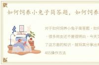 如何饲养小兔子简答题，如何饲养小兔子