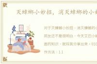 灭蟑螂小妙招，消灭蟑螂的小妙招