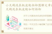 小天鹅洗衣机波轮拆卸图解文章教程，小天鹅洗衣机波轮如何拆卸