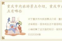 重庆市内旅游景点介绍，重庆市内旅游景点有哪些