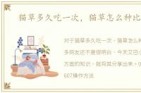 猫草多久吃一次，猫草怎么种比较好