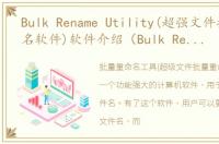 Bulk Rename Utility(超强文件批量重命名软件)软件介绍（Bulk Rename Utility(超强文件批量重命名软件)）