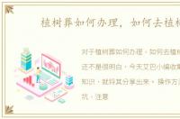 植树葬如何办理，如何去植树