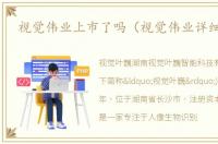 视觉伟业上市了吗（视觉伟业详细资料）