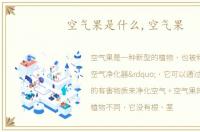 空气果是什么,空气果