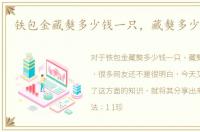 铁包金藏獒多少钱一只，藏獒多少钱一只