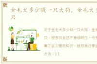 金毛犬多少钱一只大狗，金毛犬多少钱一只
