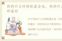 狗狗什么时候配最合适，狗狗什么时候配种最好