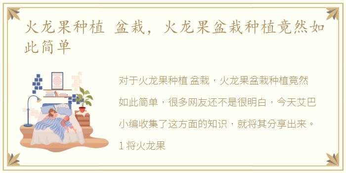 火龙果种植 盆栽，火龙果盆栽种植竟然如此简单