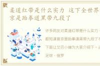 柔道红带是什么实力 这下全世界都知道普京是跆拳道黑带九段了