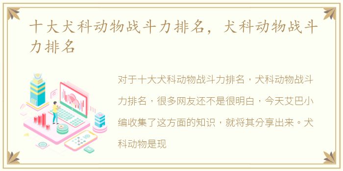 十大犬科动物战斗力排名，犬科动物战斗力排名